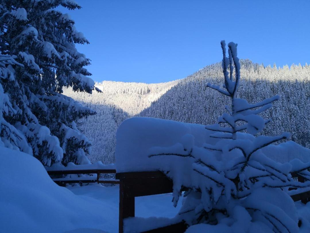 Cabana "Trei Brazi " Retezat Rîu de Mori Buitenkant foto