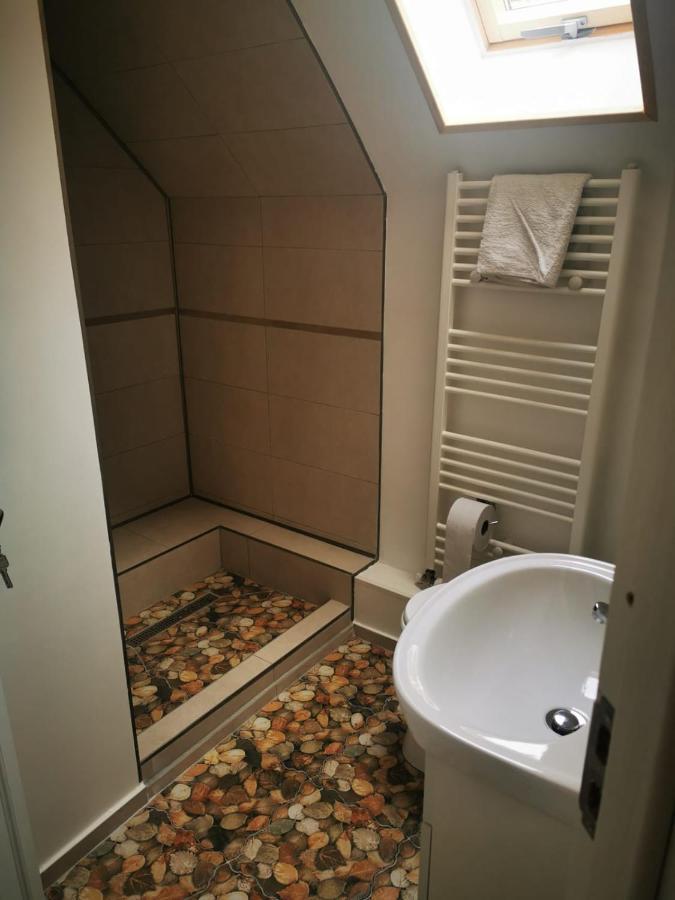 Cabana "Trei Brazi " Retezat Rîu de Mori Buitenkant foto