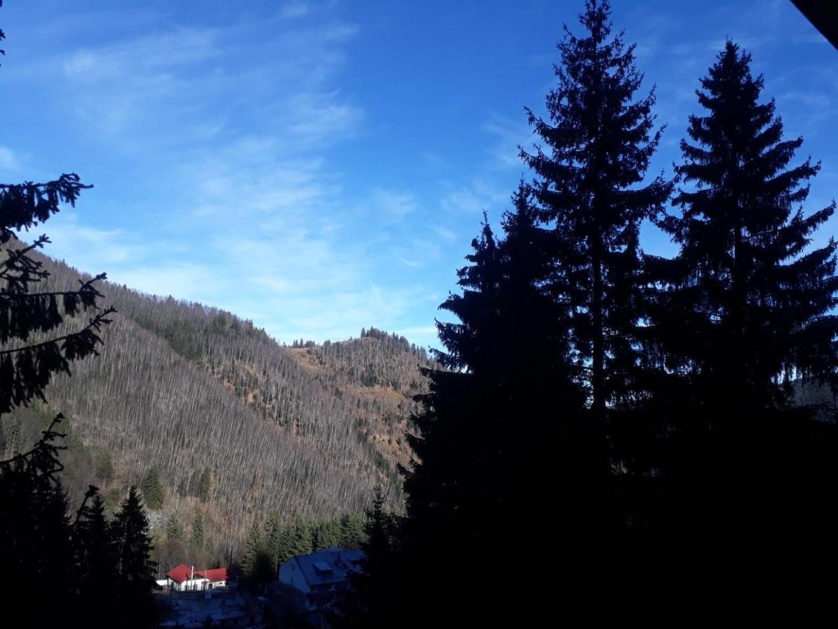 Cabana "Trei Brazi " Retezat Rîu de Mori Buitenkant foto