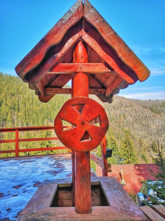 Cabana "Trei Brazi " Retezat Rîu de Mori Buitenkant foto