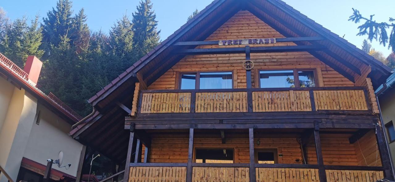 Cabana "Trei Brazi " Retezat Rîu de Mori Buitenkant foto