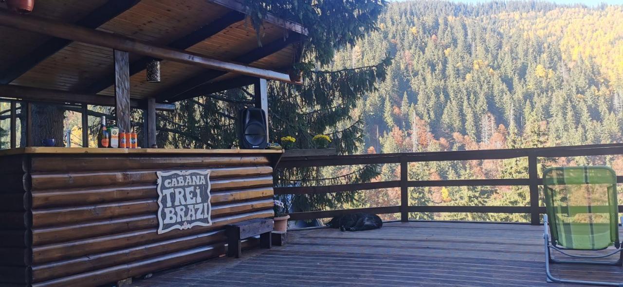 Cabana "Trei Brazi " Retezat Rîu de Mori Buitenkant foto
