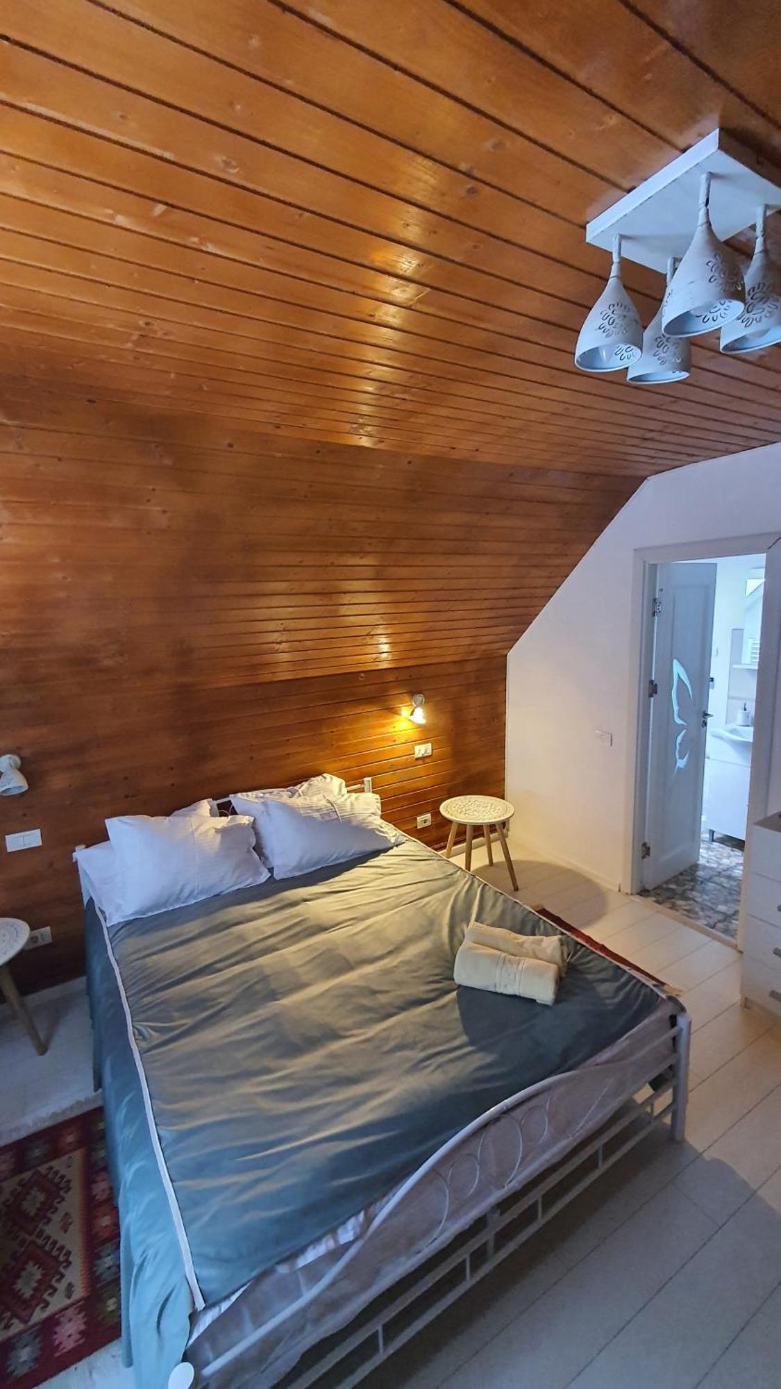 Cabana "Trei Brazi " Retezat Rîu de Mori Buitenkant foto
