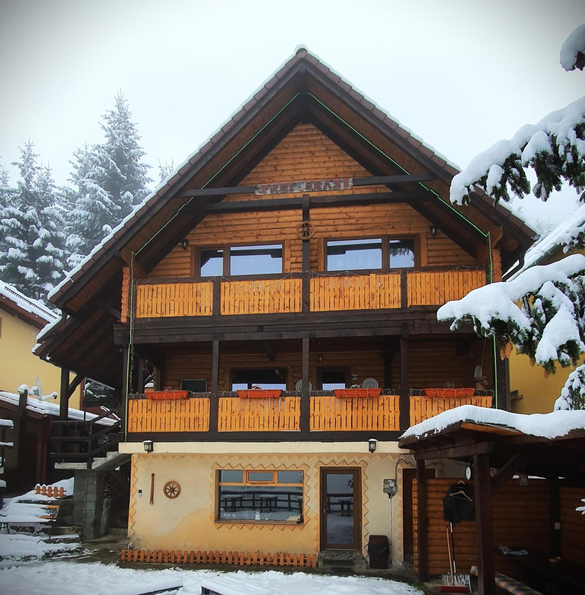 Cabana "Trei Brazi " Retezat Rîu de Mori Buitenkant foto
