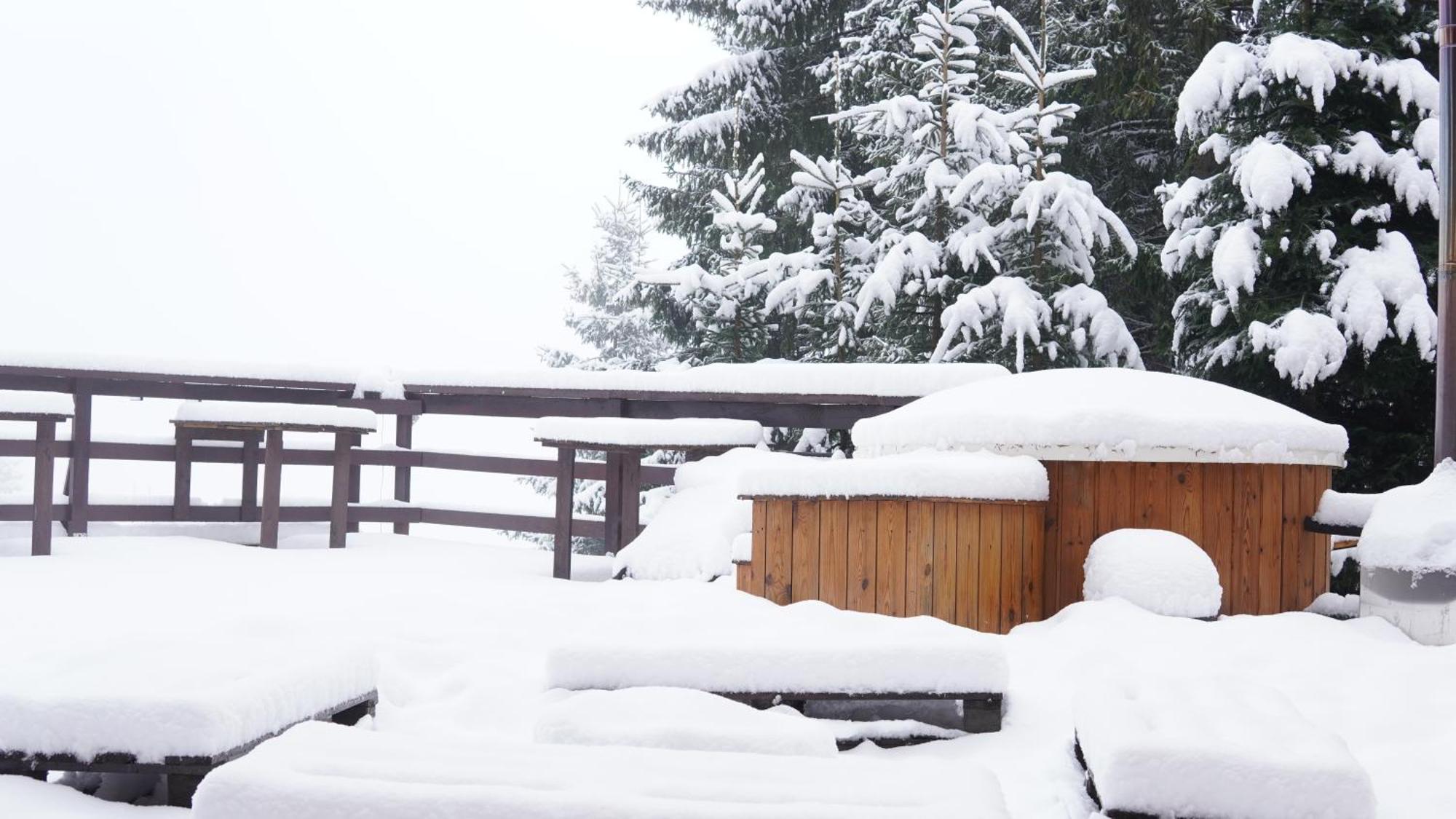 Cabana "Trei Brazi " Retezat Rîu de Mori Buitenkant foto