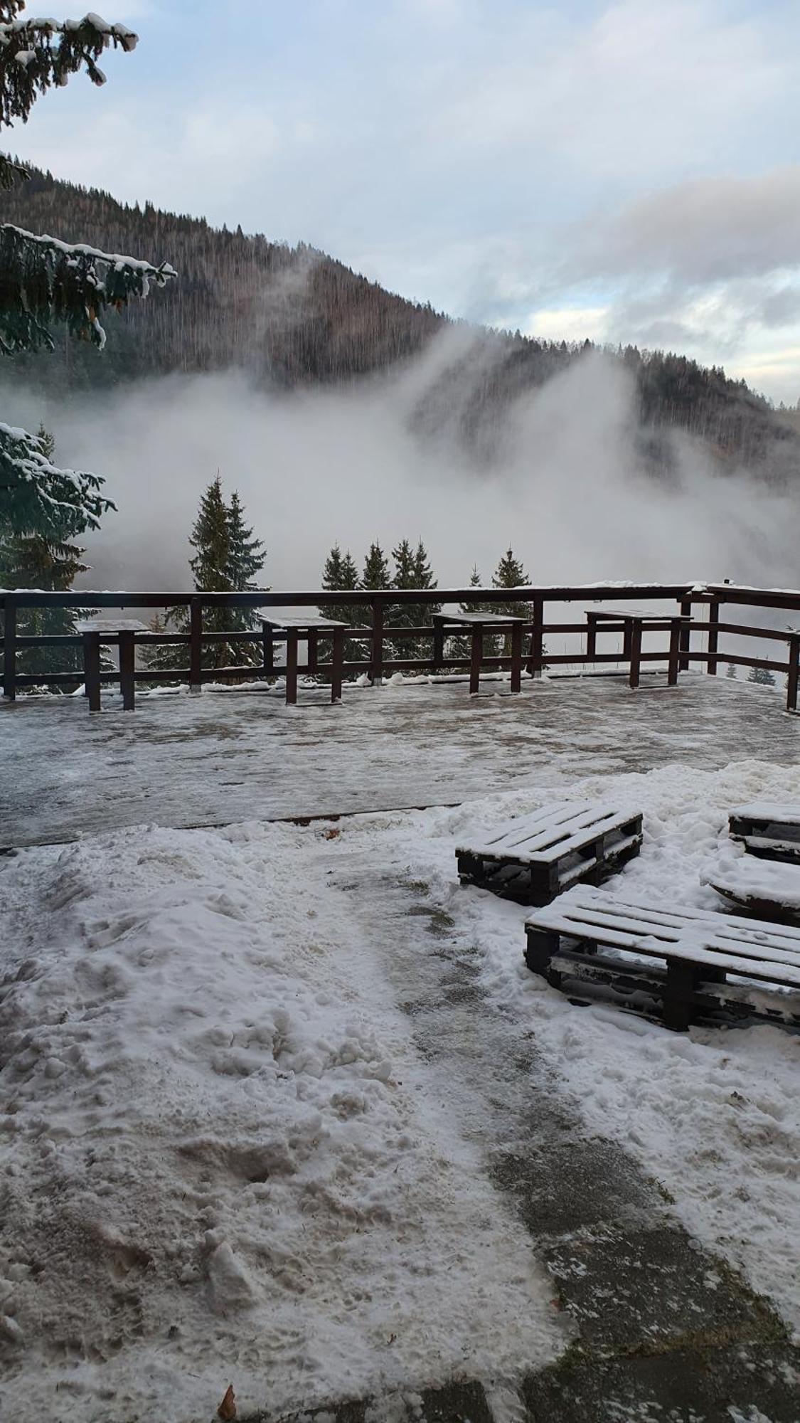 Cabana "Trei Brazi " Retezat Rîu de Mori Buitenkant foto